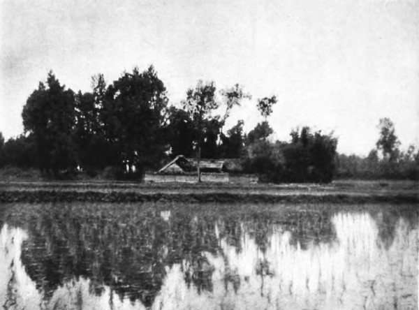 A FARMHOUSE IN CHENGTU PLAIN